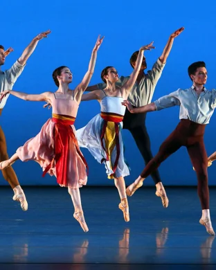 Swan Lake - Symphony of Lights